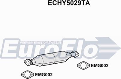 EuroFlo ECHY5029TA - Catalizzatore autozon.pro