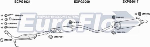 EuroFlo PG30620 1011B - Impianto gas scarico autozon.pro