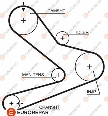 EUROREPAR 1633134880 - Cinghia dentata autozon.pro