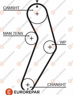 EUROREPAR 1633135880 - Cinghia dentata autozon.pro
