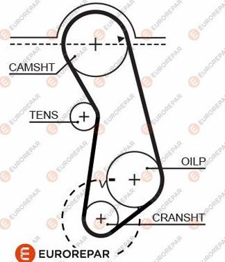 EUROREPAR 1633136980 - Cinghia dentata autozon.pro