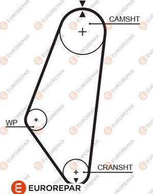 EUROREPAR 1633136480 - Cinghia dentata autozon.pro