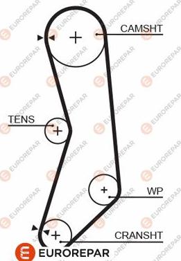 EUROREPAR 1633136080 - Cinghia dentata autozon.pro
