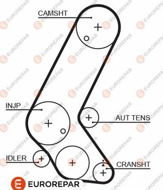 EUROREPAR 1633130880 - Cinghia dentata autozon.pro