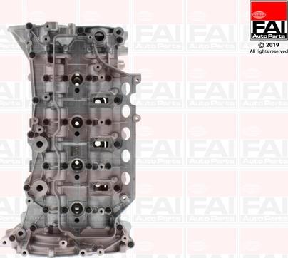 FAI AutoParts BCH093 - Testata autozon.pro