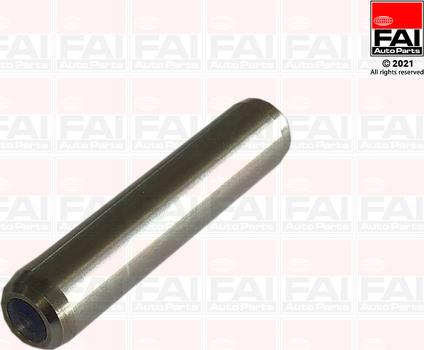 FAI AutoParts BFG033 - Guida valvola autozon.pro