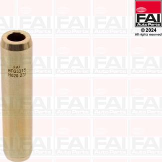 FAI AutoParts BFG3315 - Guida valvola autozon.pro