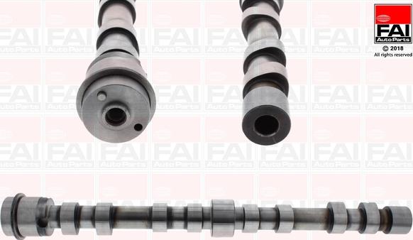 FAI AutoParts C391 - Albero a camme autozon.pro