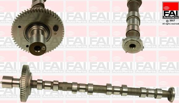 FAI AutoParts C308 - Albero a camme autozon.pro