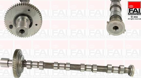 FAI AutoParts C310 - Albero a camme autozon.pro