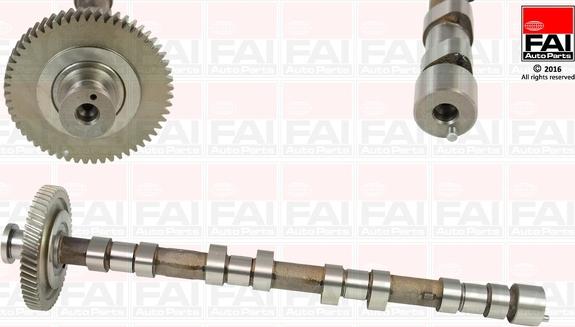 FAI AutoParts C311 - Albero a camme autozon.pro