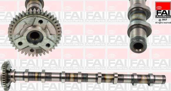 FAI AutoParts C381 - Albero a camme autozon.pro