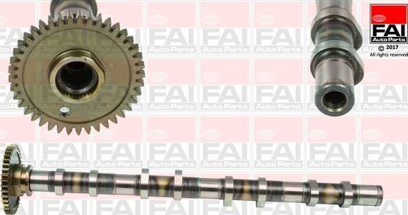 FAI AutoParts C382 - Albero a camme autozon.pro