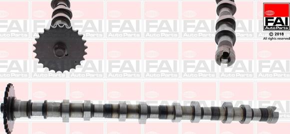 FAI AutoParts C387 - Albero a camme autozon.pro