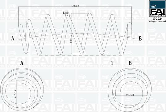 FAI AutoParts FPCS195 - Molla autotelaio autozon.pro