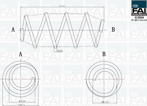 FAI AutoParts FPCS121 - Molla autotelaio autozon.pro