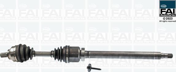 FAI AutoParts FPDS202 - Albero motore / Semiasse autozon.pro