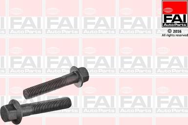 FAI AutoParts SS9254BK - Perno fissaggio, Braccio oscillante autozon.pro