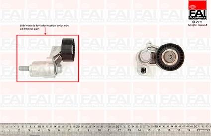 FAI AutoParts T9605 - Tendicinghia, Cinghia Poly-V autozon.pro