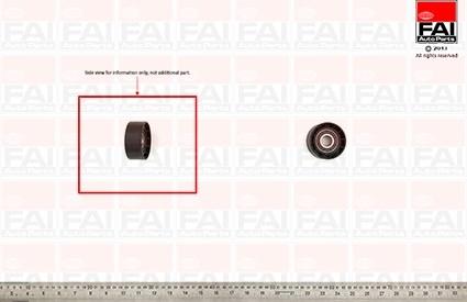 FAI AutoParts T1017 - Galoppino / Guidacinghia, Cinghia Poly-V autozon.pro