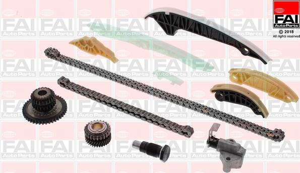 FAI AutoParts TCK306NG - Kit catena distribuzione autozon.pro