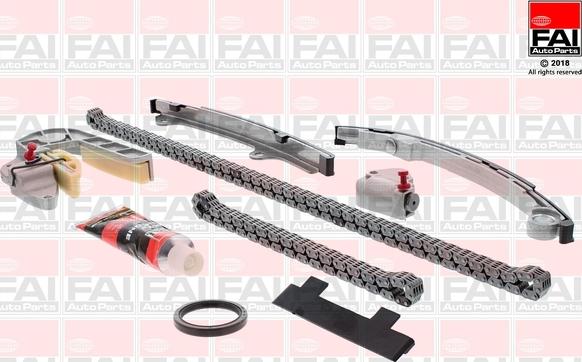 FAI AutoParts TCK31WO - Kit catena distribuzione autozon.pro