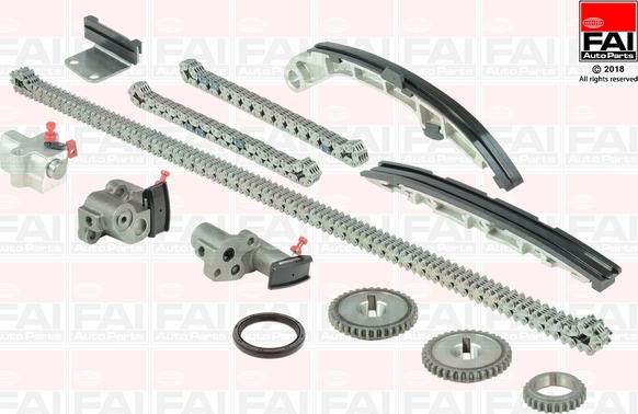 FAI AutoParts TCK252L - Kit catena distribuzione autozon.pro