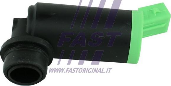 Fast FT94909 - Pompa acqua lavaggio, Pulizia cristalli autozon.pro