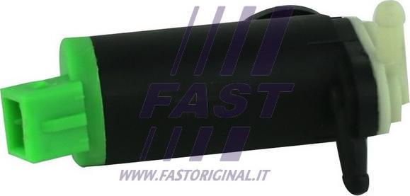 Fast FT94908 - Pompa acqua lavaggio, Pulizia cristalli autozon.pro