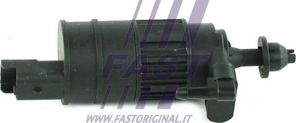 Fast FT94911 - Pompa acqua lavaggio, Pulizia cristalli autozon.pro