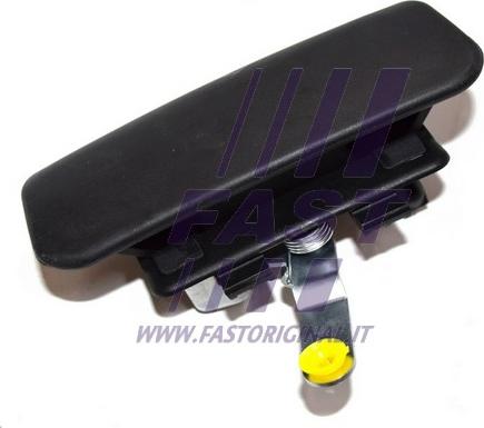 Fast FT94565 - Maniglia apriporta autozon.pro