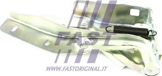 Fast FT94095 - Cerniera, Cofano motore autozon.pro