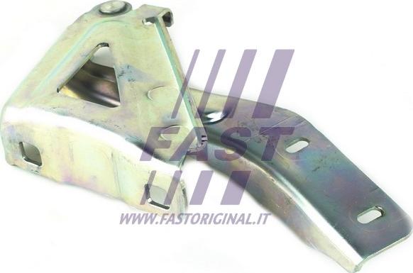 Fast FT94096 - Cerniera, Cofano motore autozon.pro