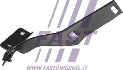 Fast FT94003 - Cerniera, Cofano motore autozon.pro