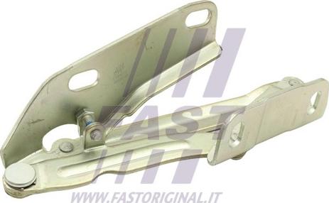 Fast FT94012 - Cerniera, Cofano motore autozon.pro