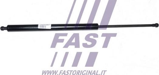 Fast FT94828 - Ammortizzatore pneumatico,Lunotto posteriore autozon.pro