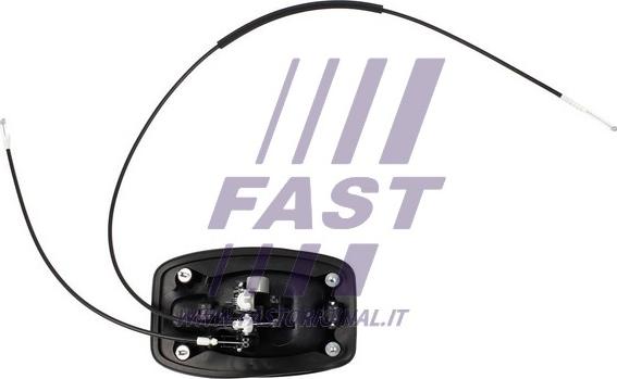 Fast FT94389 - Maniglia apriporta autozon.pro