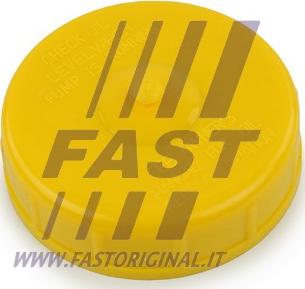 Fast FT94743 - Anello di tenuta, tappo di chiusura, servopompa autozon.pro