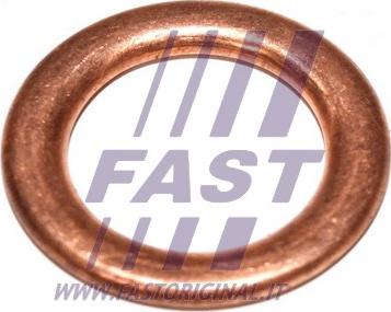 Fast FT94715 - Guarnizione, chiusura bocchettone di riempimento olio autozon.pro