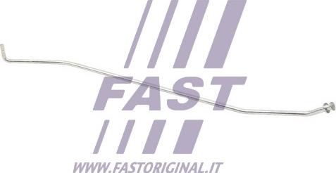 Fast FT95902 - Elemento fissaggio, Copertura motore autozon.pro