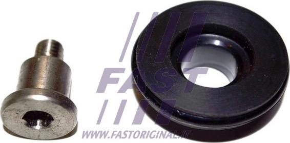 Fast FT95543 - Guidarullo, Porta scorrevole autozon.pro