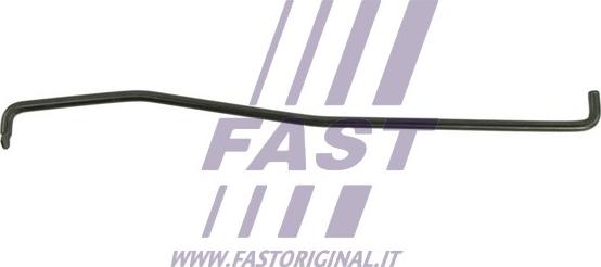 Fast FT95519 - Elemento fissaggio, Copertura motore autozon.pro