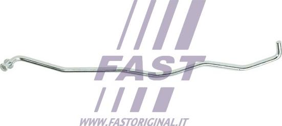 Fast FT95515 - Elemento fissaggio, Copertura motore autozon.pro