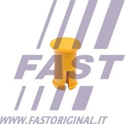 Fast FT96021 - Fermaporta autozon.pro