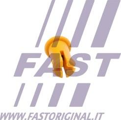 Fast FT96021 - Fermaporta autozon.pro