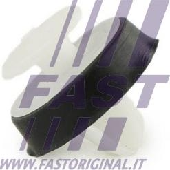 Fast FT96309 - Clip, Fregio / Modanatura protettiva autozon.pro