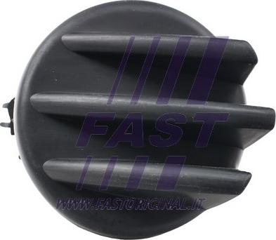 Fast FT92401 - Mostrina, Paraurti autozon.pro