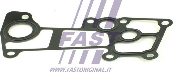 Fast FT49904 - Guarnizione, Flangia refrigerante autozon.pro