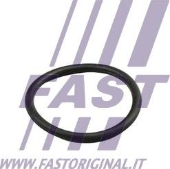 Fast FT49919 - Anello tenuta, Tubo refrigerante autozon.pro