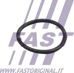 Fast FT49918 - Guarnizione, Condotto d. refrigerante autozon.pro